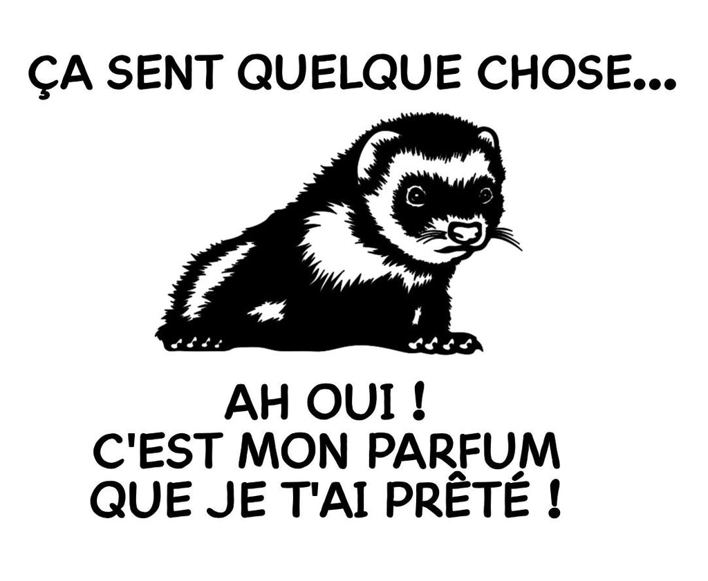 Autocollant pour auto de furets