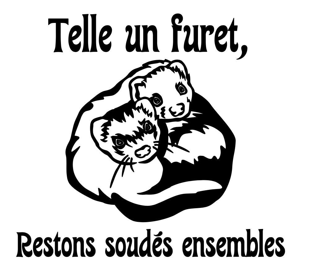 Autocollant pour auto de furets