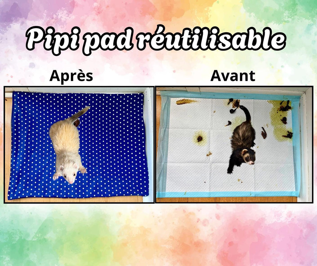 Tapis d’entraînement (pipi pads)