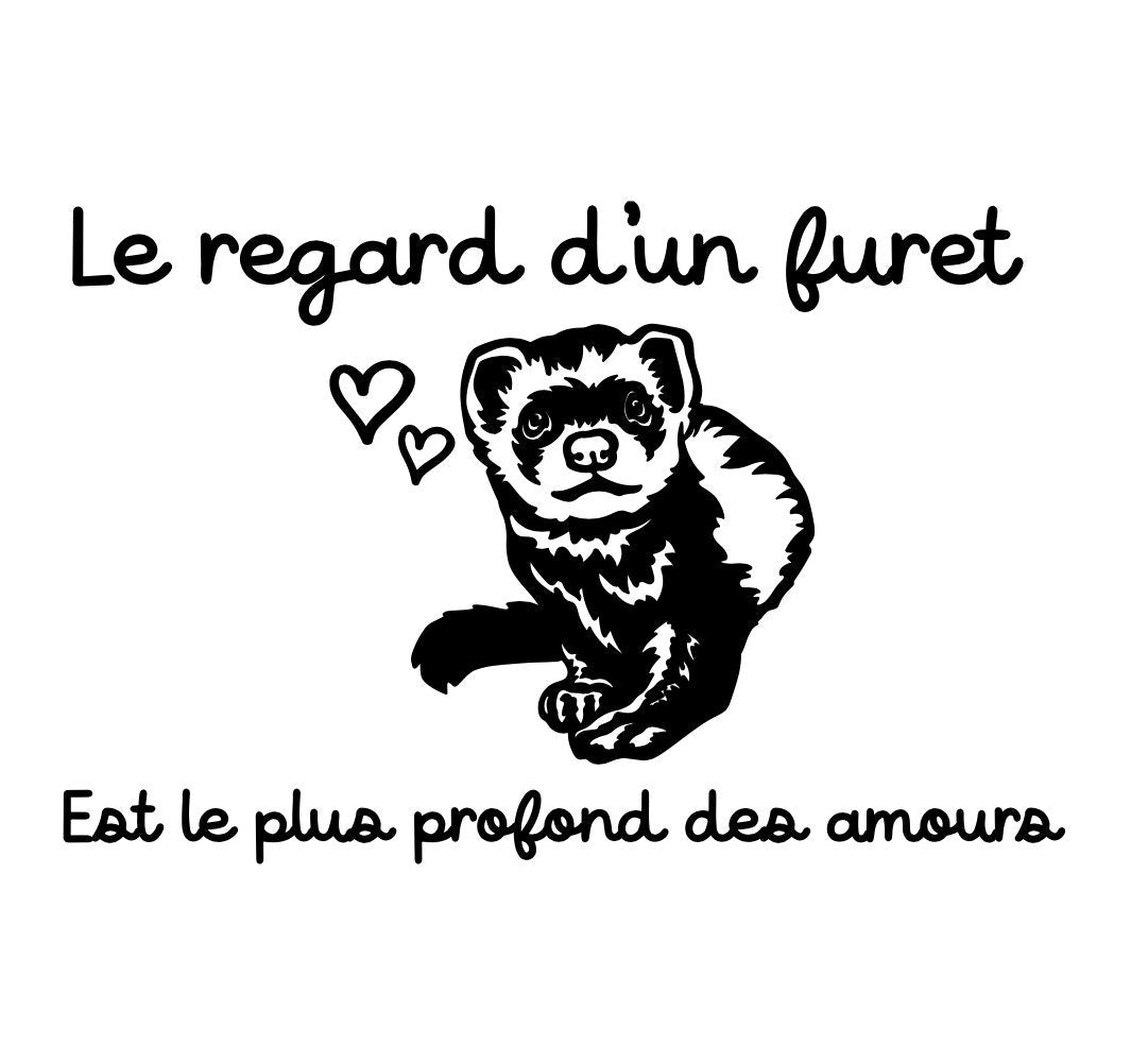 Autocollant pour auto de furets
