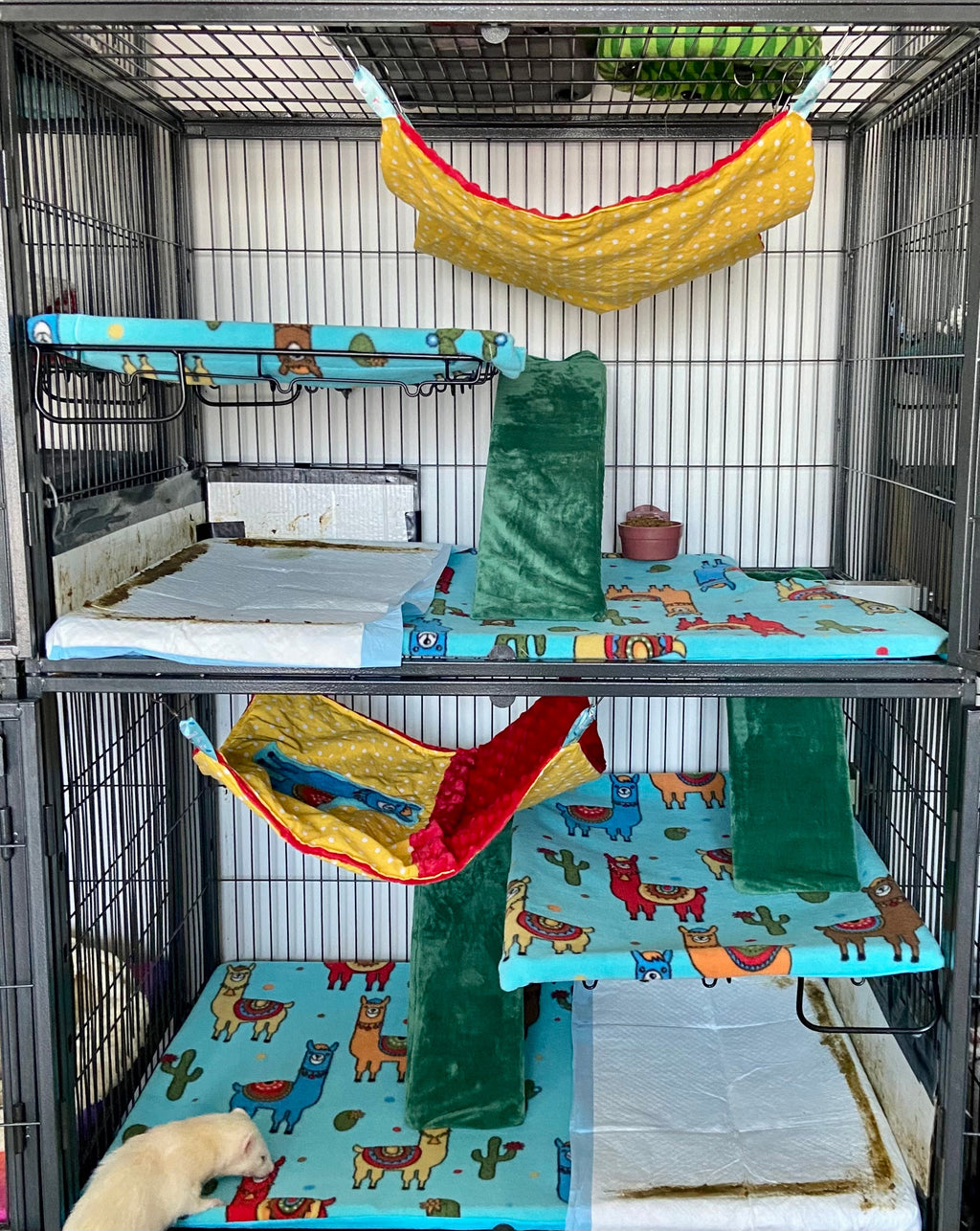 Recouvrement cage ferret nation