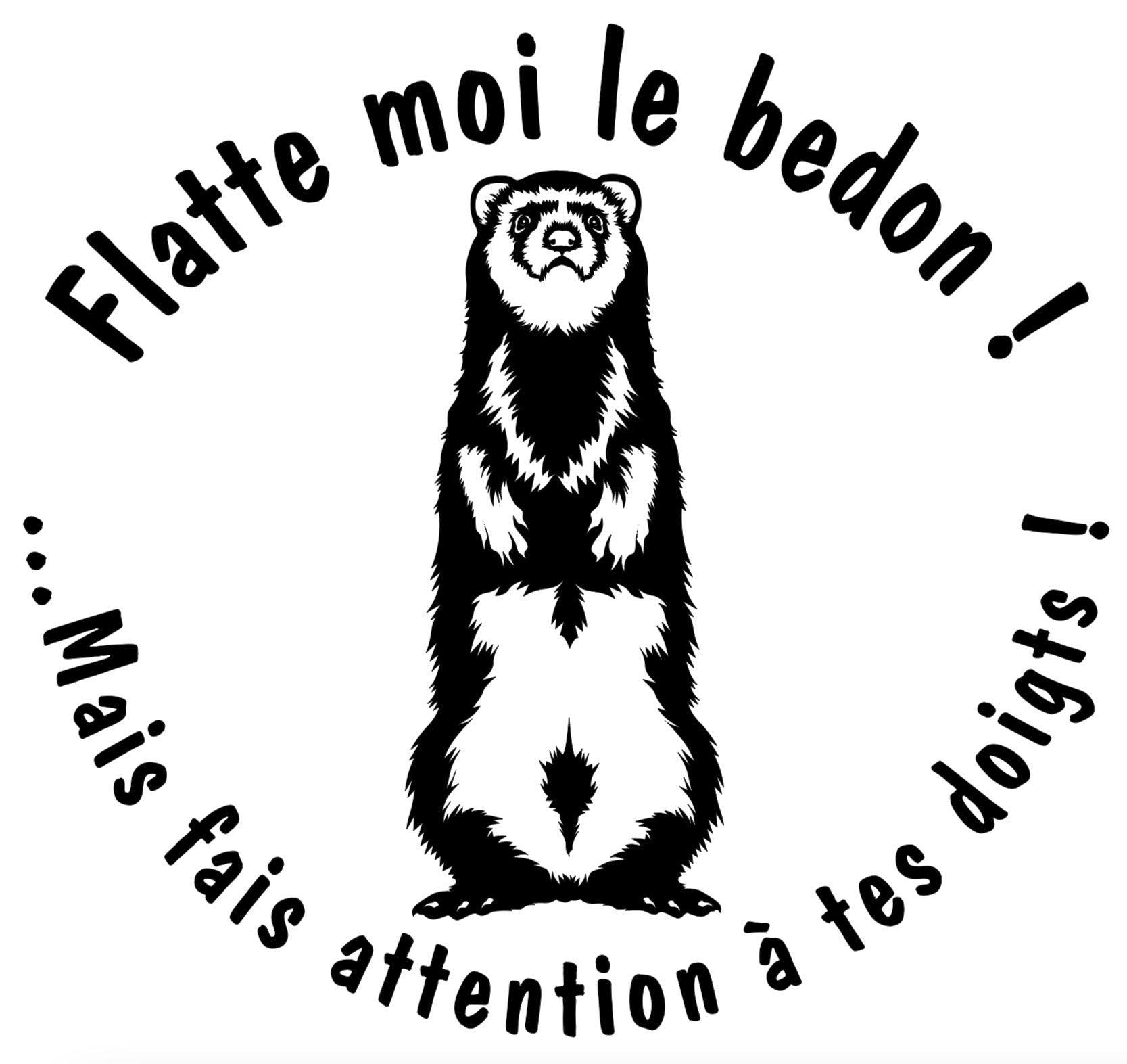 Autocollant pour auto de furets