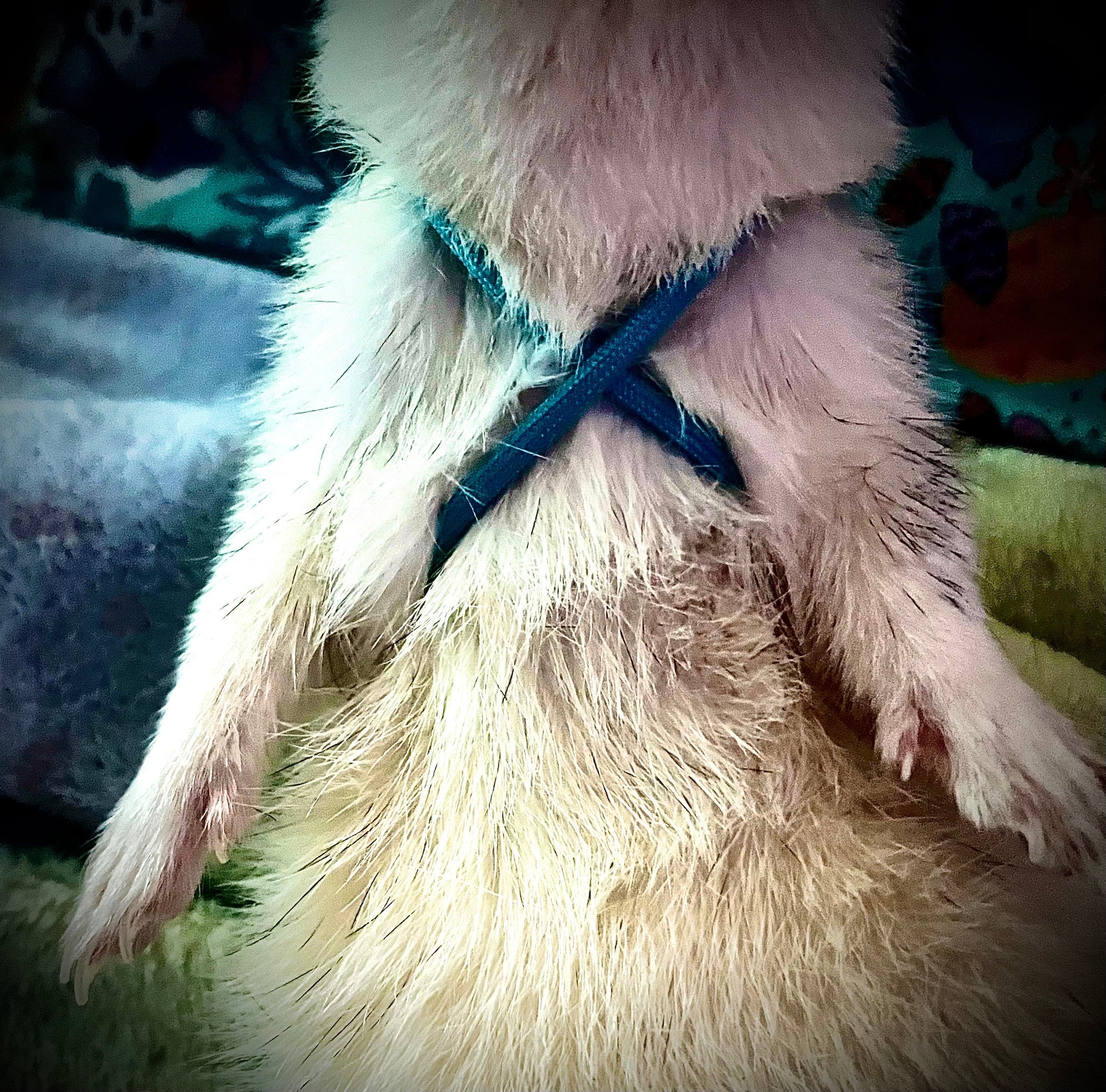 Harnais pour petits animaux