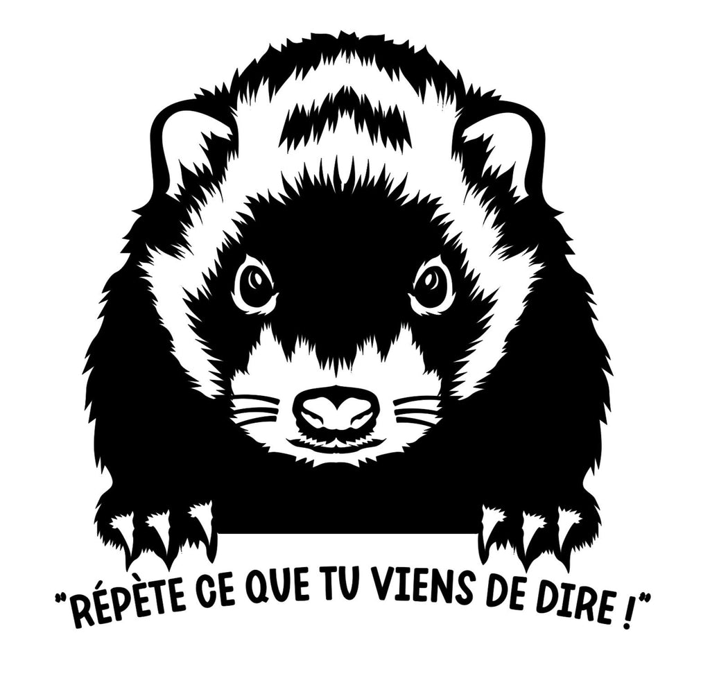 Autocollant pour auto de furets