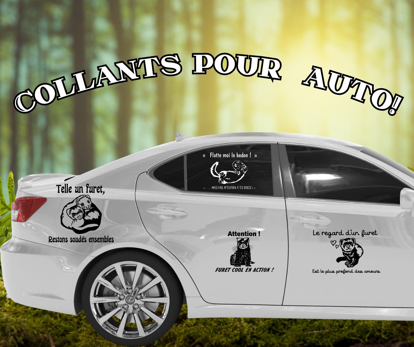 Autocollant pour auto de furets